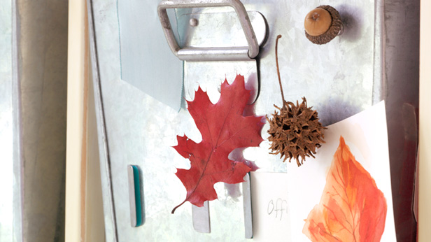 DIY Fall Decorations: Ode to Organizing #MyHallmark #MyHallmarkIdeas