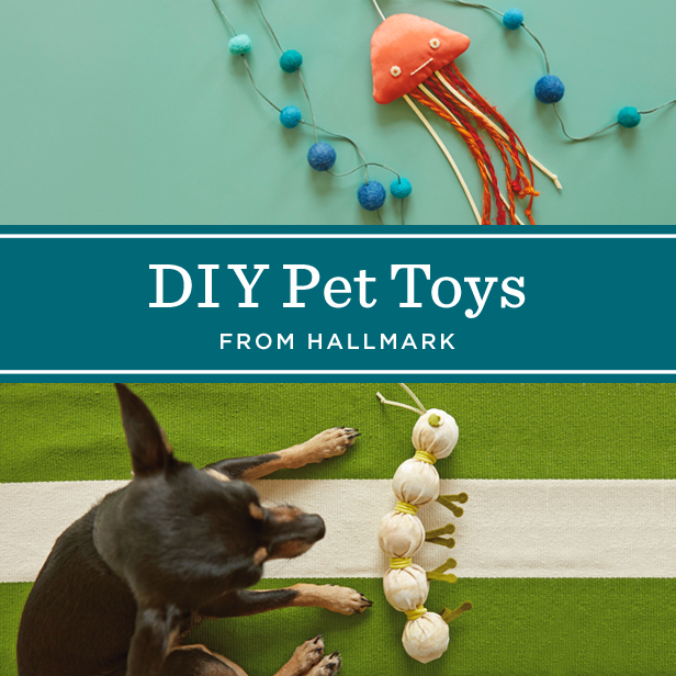 DIY Dog Toys and Cat Toys