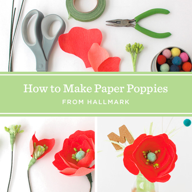 Papercraft Video: How to Make Paper Poppies