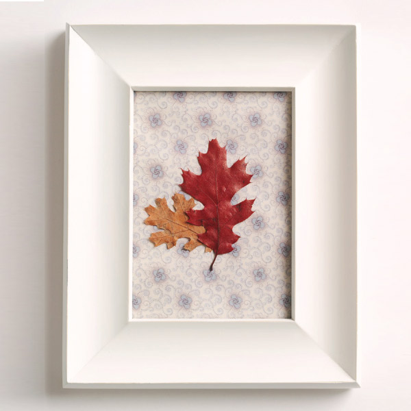 Framed Leaves | Hallmark Ideas & Inspiration