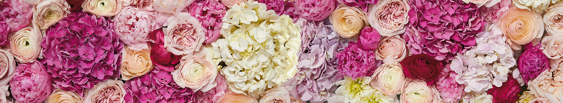 Mother's Day background filled with pink and white hydrangea and ranunculus flowers.
