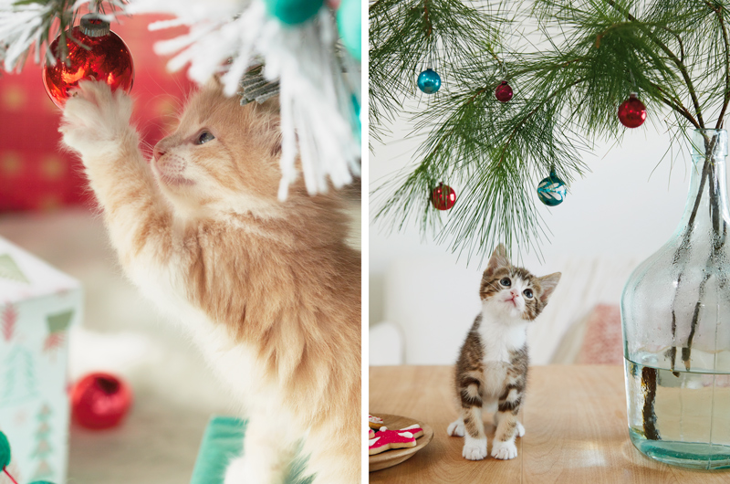 Two kittens playing with Christmas ornaments as they dangle from tree branches.