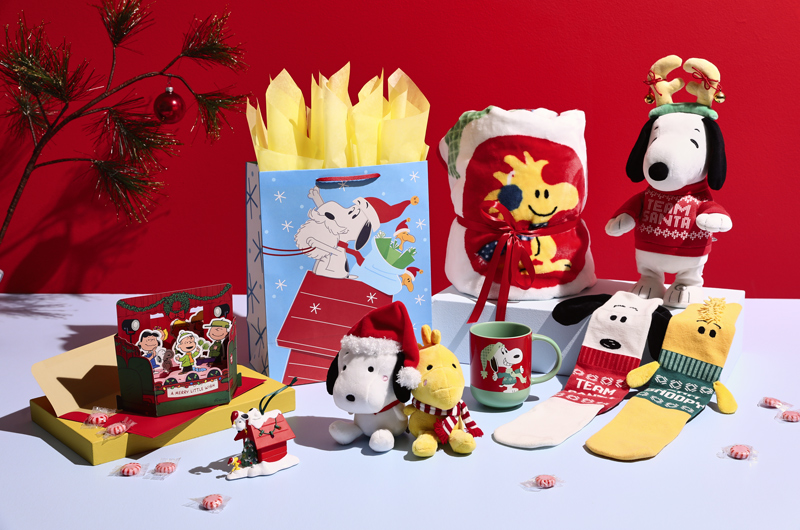 A Christmas care package for Peanuts Snoopy lovers that includes Snoopy and Woodstock socks, a Snoopy and Woodstock Better Together magnetic plush pair, a Keepsake Ornament, a pop-up card depicting a scene from 