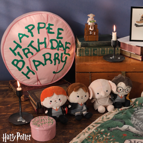 A collection of Harry Potter-themed gifts and collectibles.