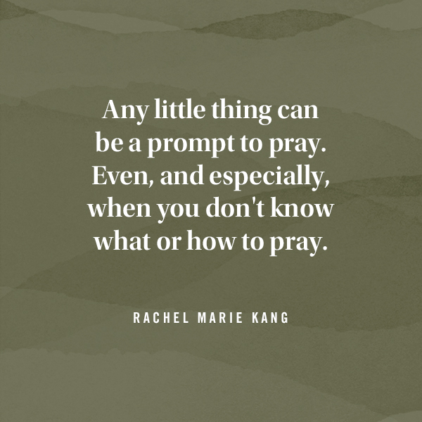A pull quote from DaySpring contributing writer Rachel Marie Kang that reads, 