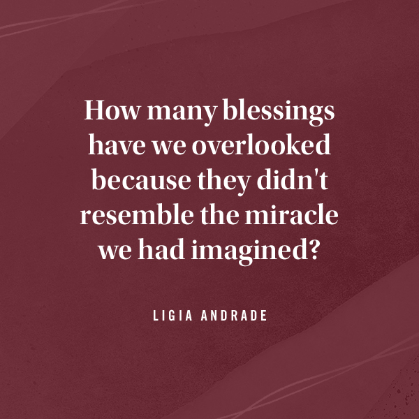 A quote from DaySpring writing community contributor Ligia Andrade that reads, 